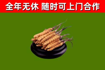 雨城烟酒回收冬虫夏草.jpg